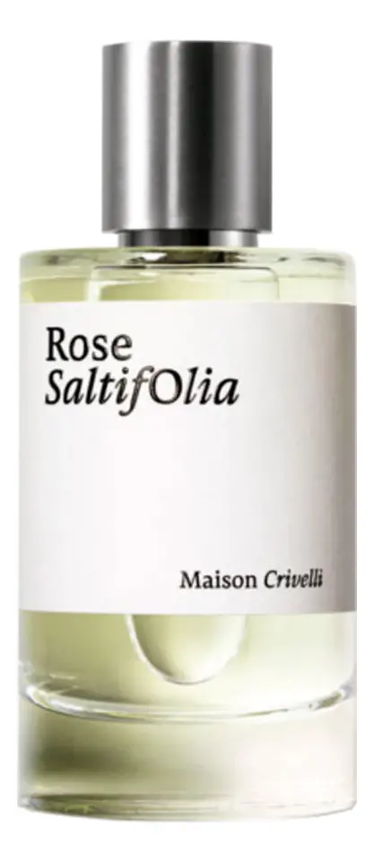 Rose SaltifOlia